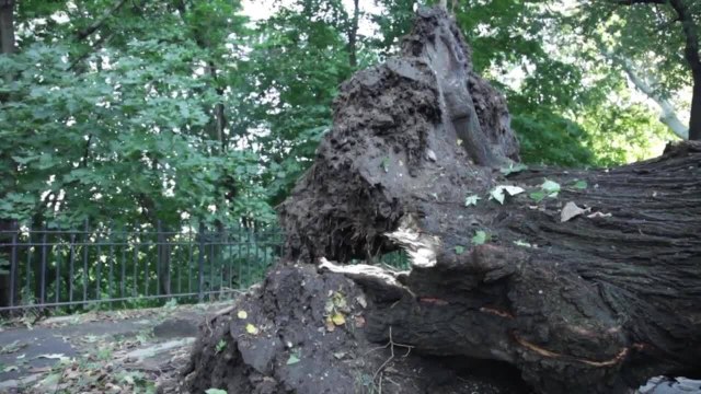 La tempête Ida sème le chaos aux Etats-Unis, au moins 44 morts à New York et aux alentours