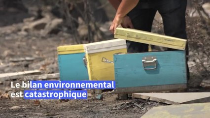 Incendies maîtrisés en Grèce, l'Europe du Sud reste en alerte