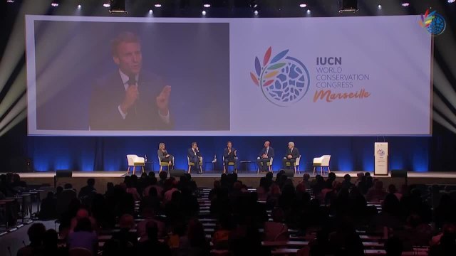 Liste rouge de la nature: le dragon de Komodo et de nombreux requins menacés