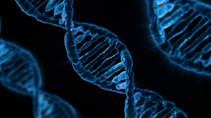 Scientists Have Finally Sequenced The Complete Human Genome