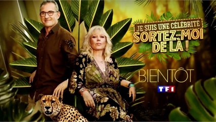 VOICI Laurence Boccolini vole au secours de Christophe Dechavanne et dément les rumeurs de tension