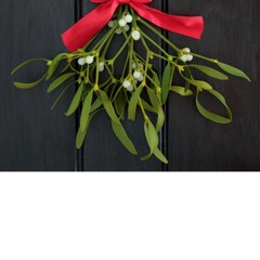 CAM - D'où vient la tradition du gui du Nouvel An ?