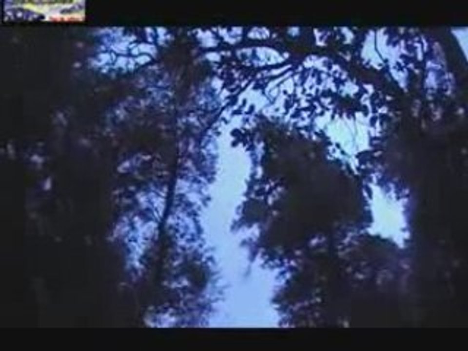 Rallye du Var 2007 ( 1ere Partie )