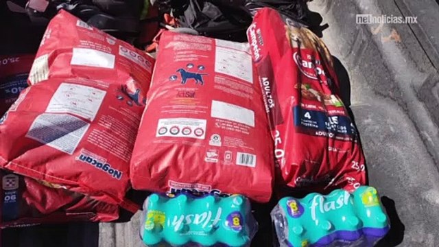 Corazones Nobles, refugio de perritos en situación de calle