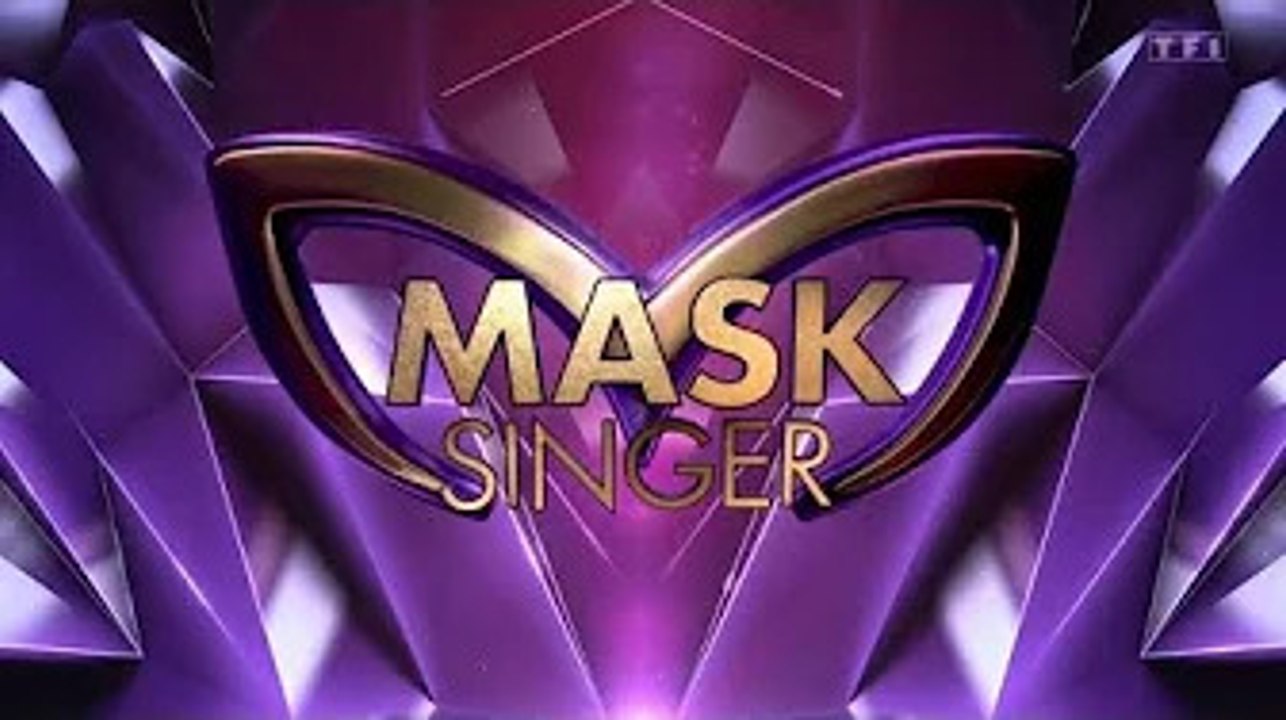 Mask Singer : qui se cachait sous les costumes du bernard-l'hermite et du poisson corail ?