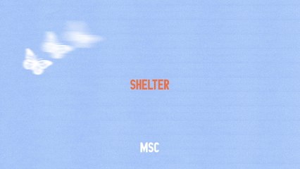 Mosaic MSC - Shelter