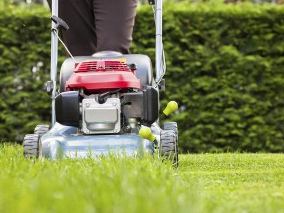 Comment faire la vidange de sa tondeuse à gazon ?