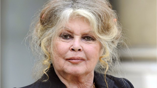 FEMME ACTUELLE - Affaire Elisa Pilarski : comment Brigitte Bardot veut sauver le chien Curtis