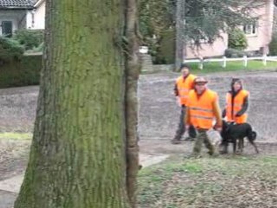 Promenade bois du 9-03-08 film 3