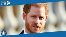 Prince Harry : ses avocats se sont fait durement remonter les bretelles !
