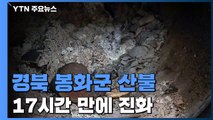 경북 봉화군 산불 17시간 만에 진화...산림 120㏊ 소실 / YTN