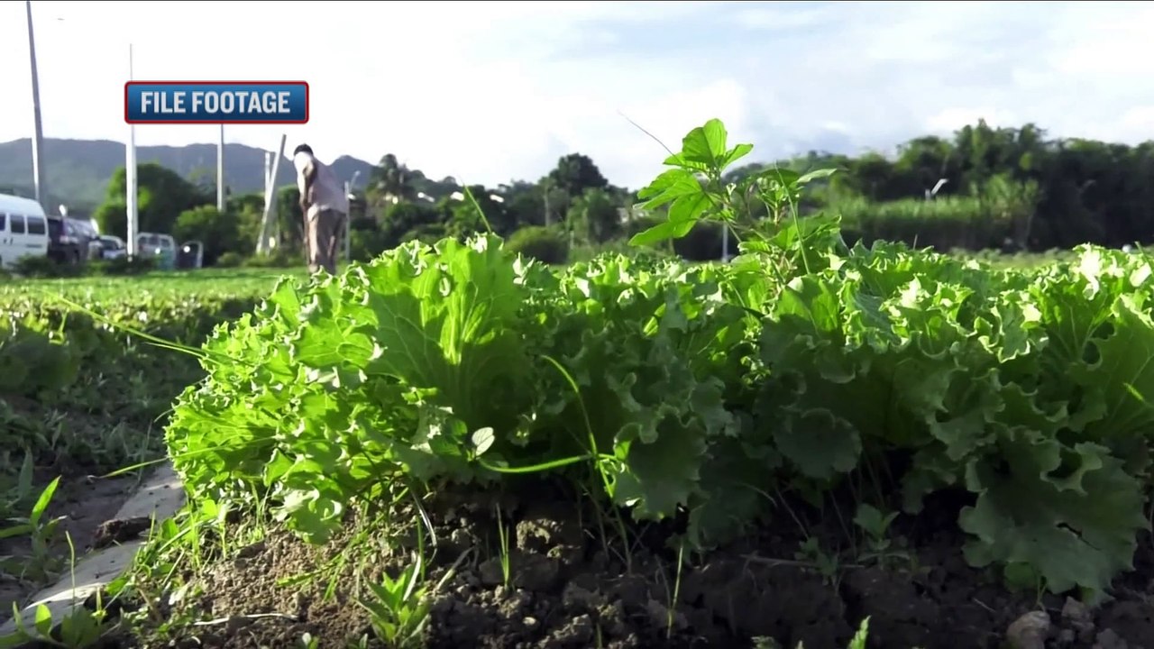 200 TO BENEFIT FROM YAHP AGRI PROGRAMME