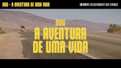 DOG: A Aventura de Uma Vida - Trailer Dublado