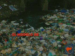 Resumen Programa, Movimiento para la Acción Directa