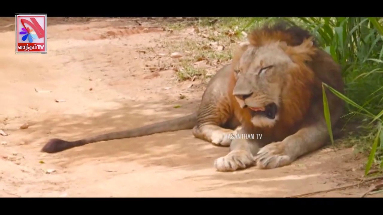 Payanam -  Vasantham TV (03-04-2022)