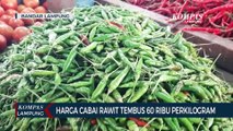 Pedas! Harga Cabai Rawit Tembus 60 Ribu/Kg