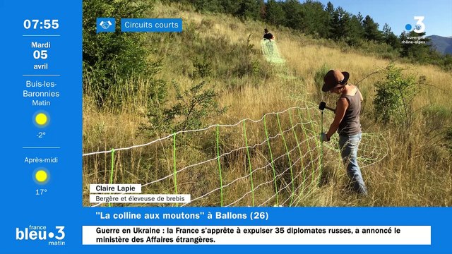 À Ballons, La colline aux moutons, des agneaux de plein air et de la laine Mérinos en vente directe