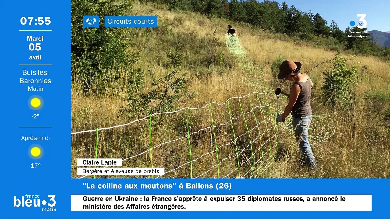 À Ballons, La colline aux moutons, des agneaux de plein air et de la laine Mérinos en vente directe