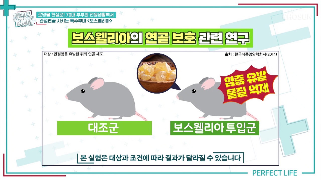 관절+연골+통증까지 관절 건강 한방에 지켜주는 꿀TIP✌ TV CHOSUN 20220...