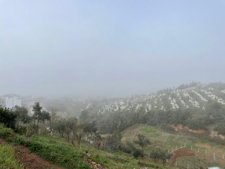 Kocaeli ve Sakarya'da sis etkili oluyor