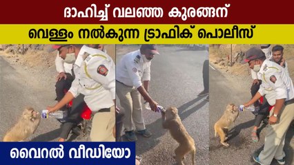 ഇതാണ് മനുഷ്യത്വം,ദാഹിച്ച് വലഞ്ഞ കുരങ്ങന് വെള്ളം നല്‍കി ട്രാഫിക് പൊലീസ്‌ | Oneindia Malayalam