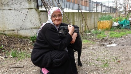 Köpeğe şiddet uygulayanı engelleyen kadın: Gözüm karardı, ‘gel bana vur’ dedim
