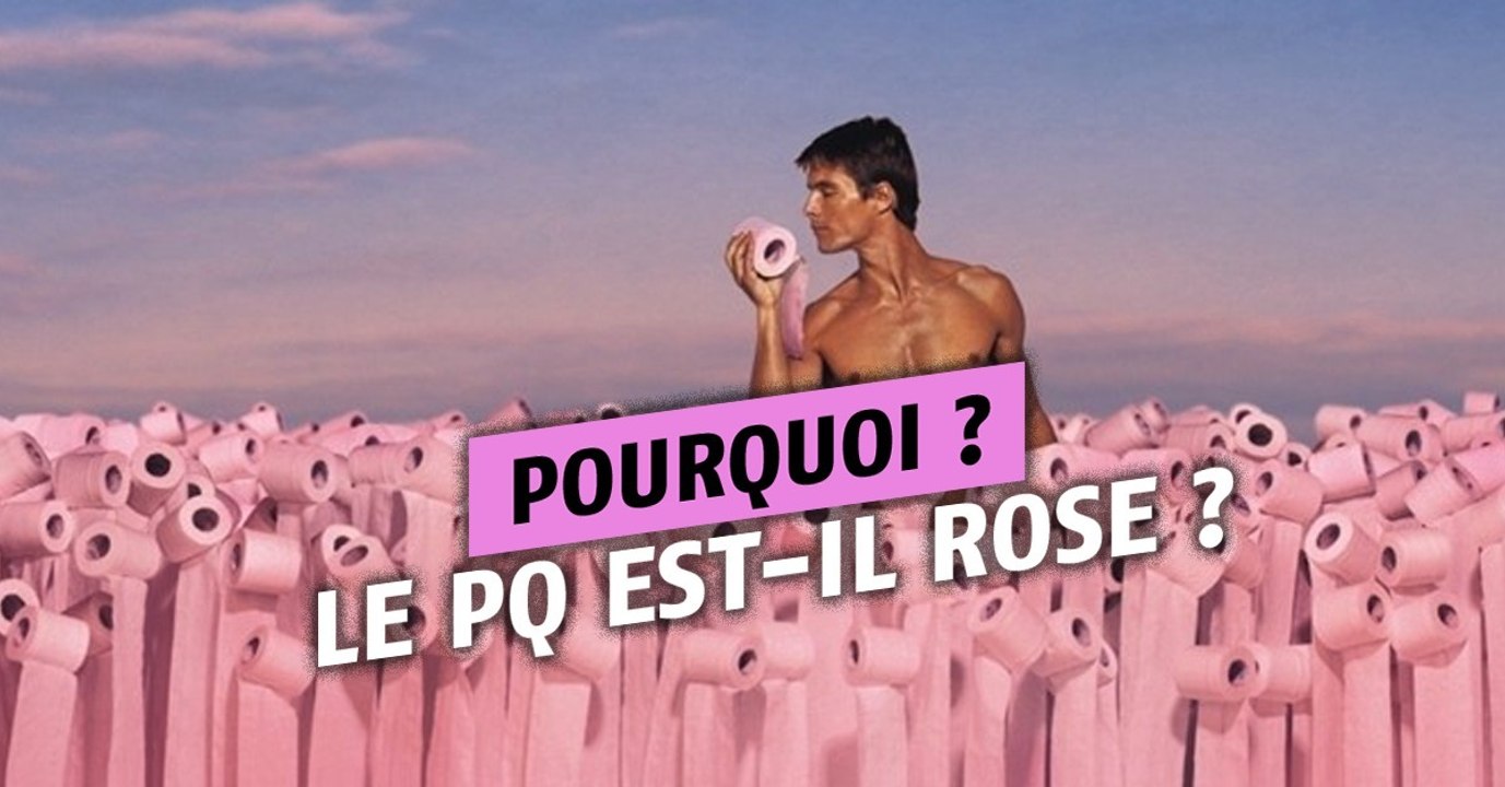 Dérouler le papier toilette : cette notice vieille de 200 ans révèle enfin la bonne manière de l'utiliser !