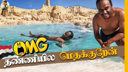 Egypt-ல் மனிதர்கள் மிதக்கும் அதிசய கடல்  | Swimming In Siwa Oasis | Tamil Trekker