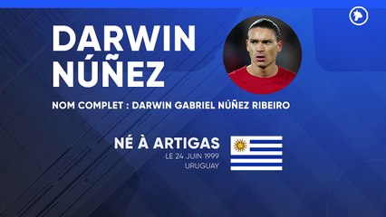 La fiche technique de Darwin Núñez
