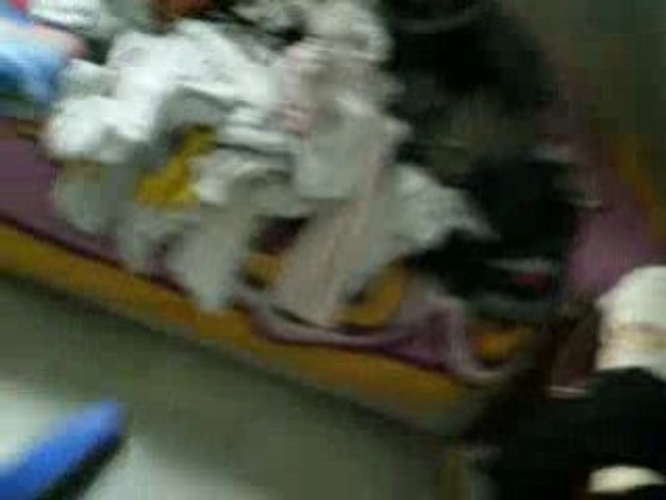 IMGP1251