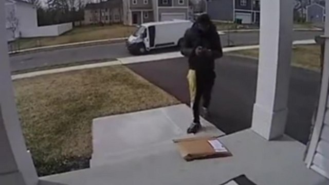 Un colis se cache tout seul sous un paillasson