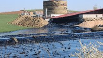 Edirne’de çevre katliamı: Tonlarca zift çevreye yayılıyor