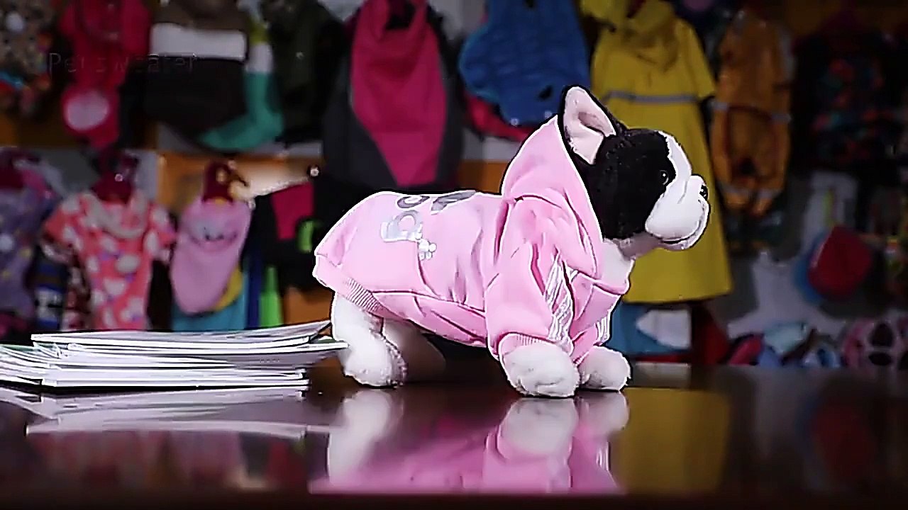 2021 Winter Pet Dog Clothes Dogs Hoodies Fleece Warm Sweatshirt Small Medium Large Dogs Jacket Clothing Pet Costume Dogs Clot