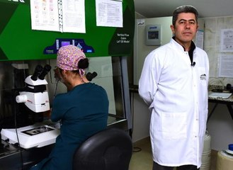 MAKÜ TÜRKİYE'NİN EMBRİYO ÜRETİM İZNİ ALAN İLK ÜNİVERSİTESİ OLDU