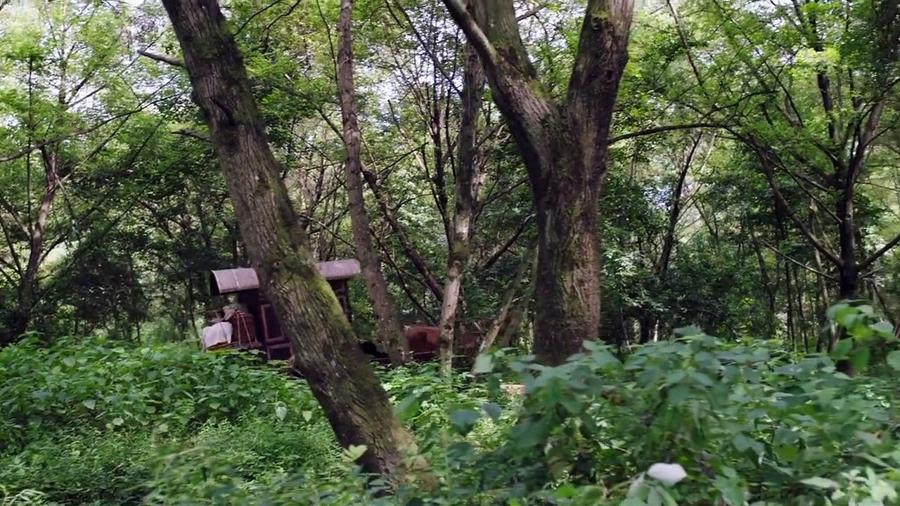 玉面桃花总相逢-THE LADY IN BUTCHER'S HOUSE (2022) EPISODE 5 ENGLISH SUB