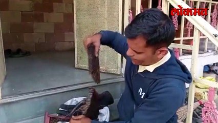 पाहा मधमाशीच्या दंशाने नाथाभाऊंना बरे करणारे डॉक्टर काय म्हणताय