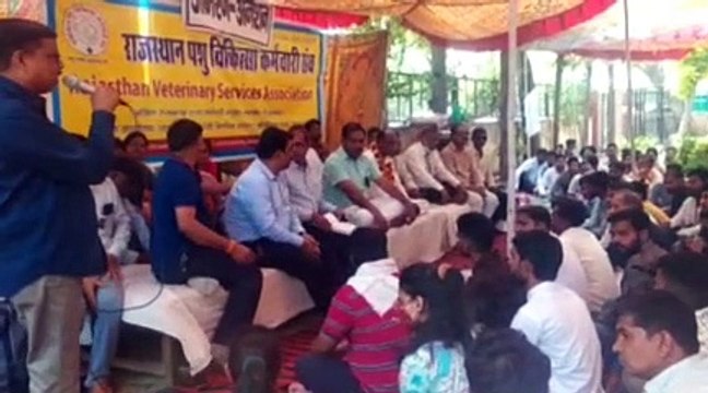 सरकार से वार्ता विफल, पशु चिकित्सा कार्मिकों का धरना 24वें दिन भी जारी