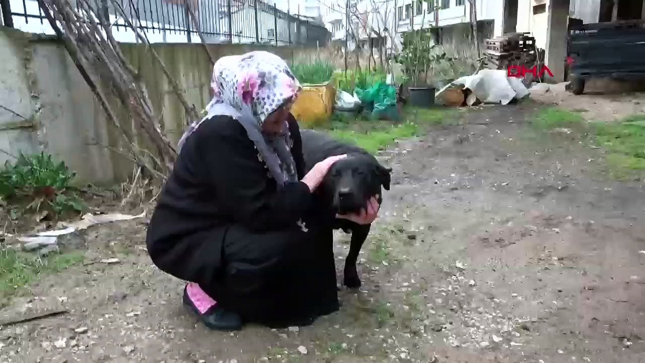 Köpeğe şiddeti engelledi: Gözüm karardı, 'gel bana vur' dedim"