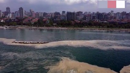 400 sayfalık rapor tamamlandı: İşte müsilajın nedeni