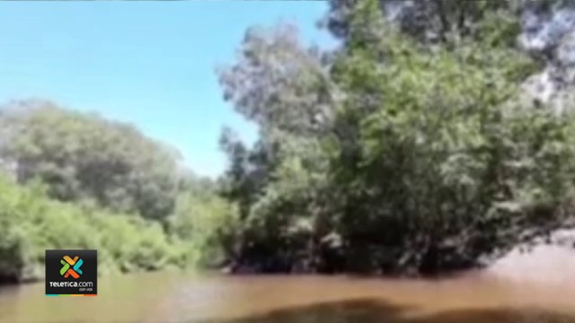 tn7-aplicacion-de-monitoreo-ecologico-en-mangllares-comenzo-en-tempisque-060422