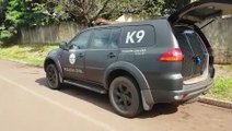 K9 - Operação com cães: Polícia Civil realiza vistoria em carreta apreendida pela PRF
