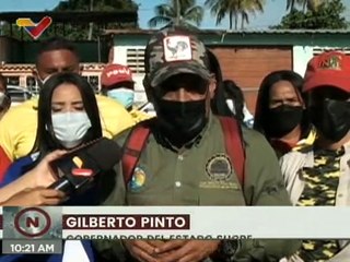 Sucre | Realizan medidas fitosanitarias para el control del hongo Moniliophthora perniciosa en Paria