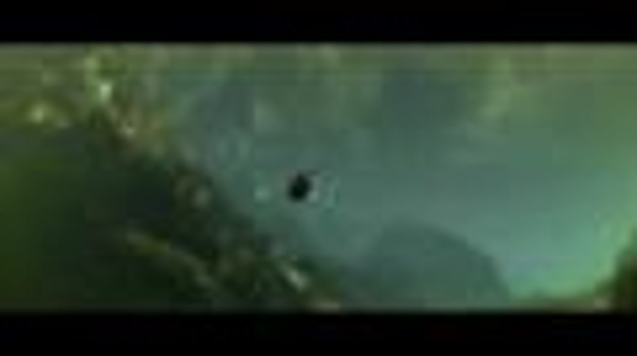 Minuscule, la vallée des fourmis perdues