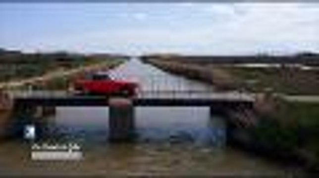 Les carnets de Julie