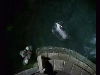 Babe, le cochon devenu berger