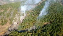 İzmir'de ormanlık alandaki yangın kontrol altında