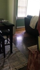 English Bulldog Busted