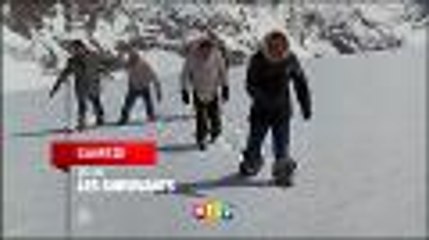 Les survivants