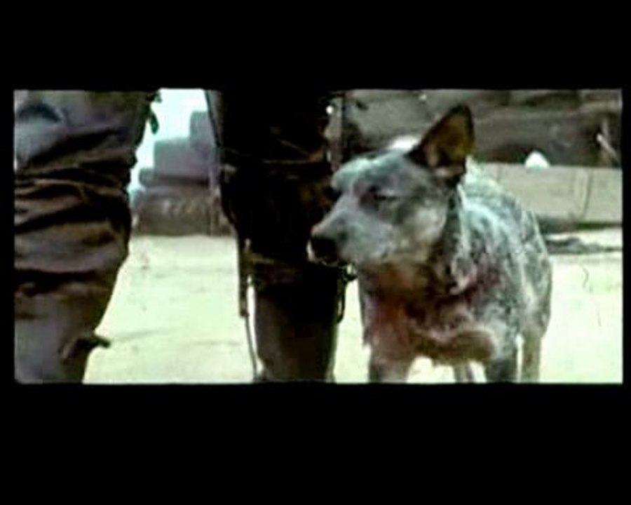 Mad Max 2 - Le défi