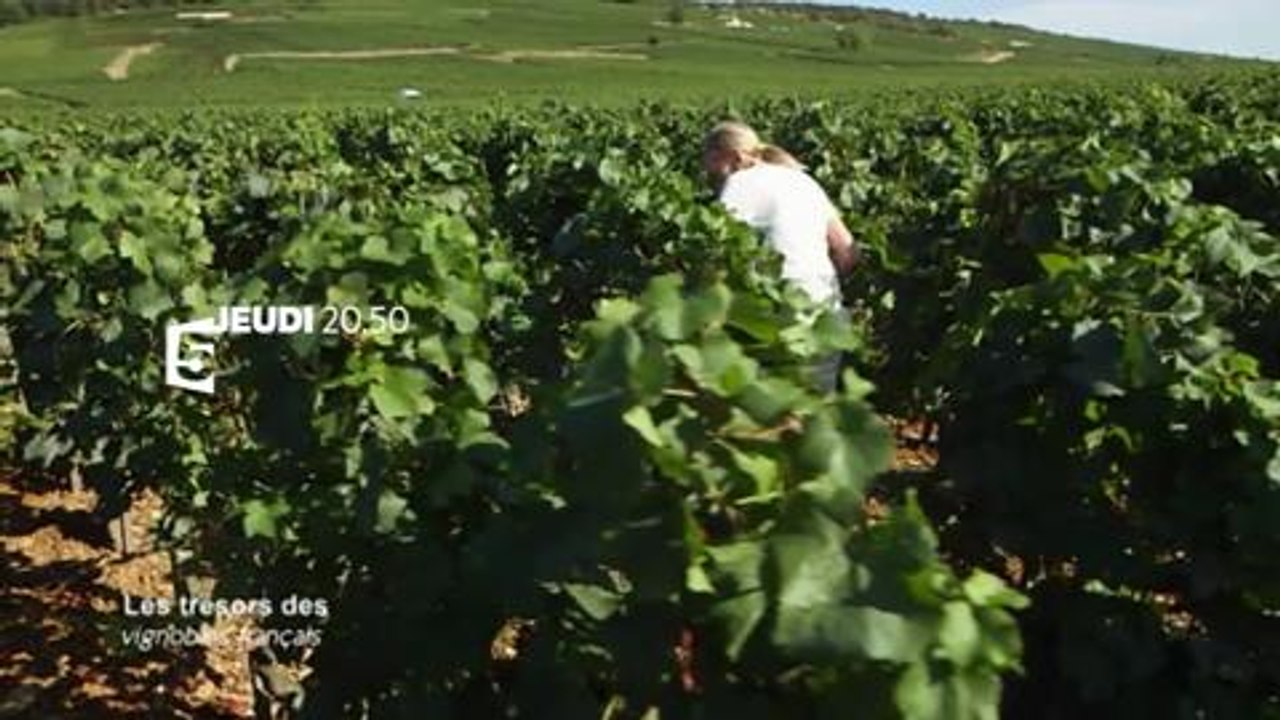 Les trésors des vignobles français